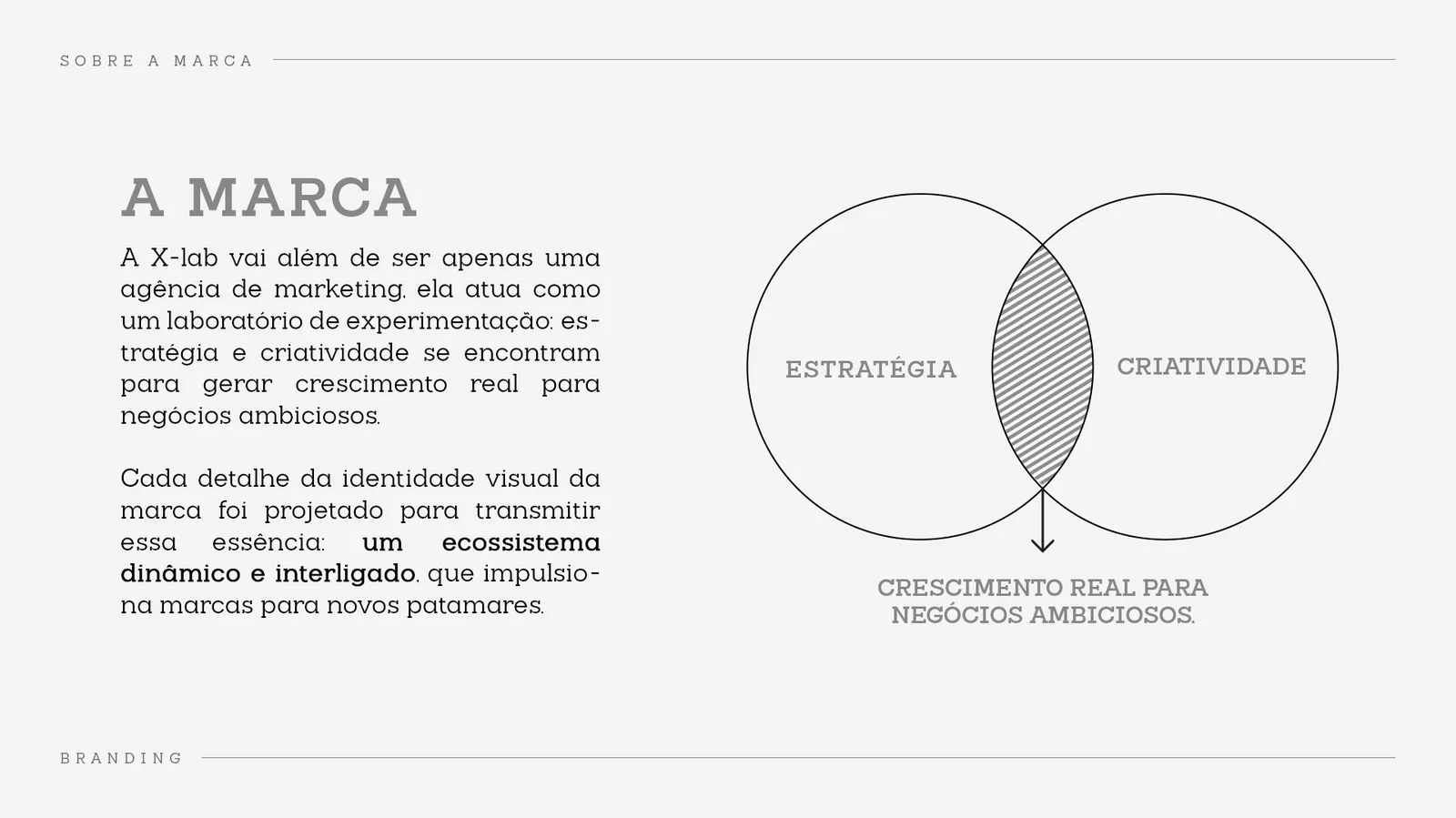 X-Lab: O ponto de partida: um laboratório de marketing que une estratégia e criatividade.